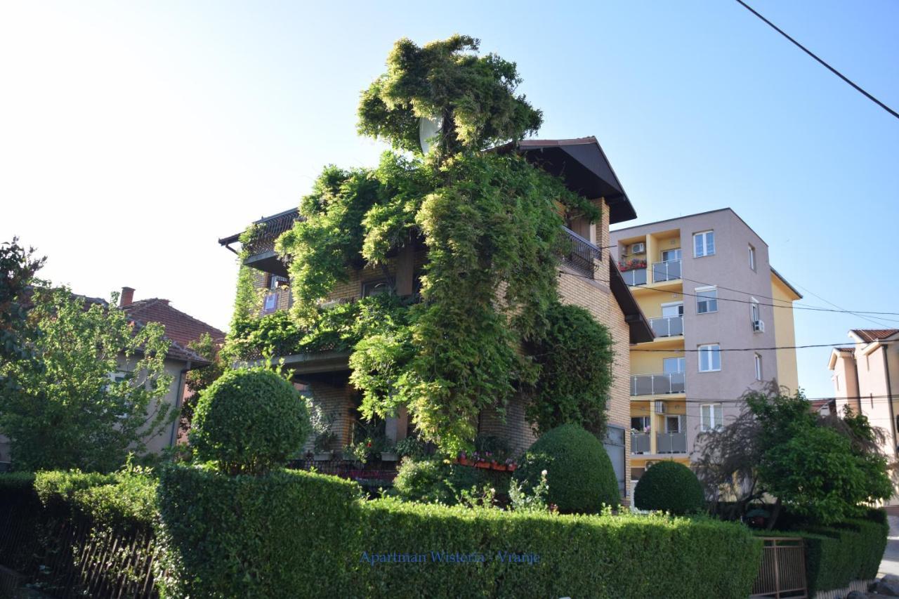Apartman Wisteria Vranje Bagian luar foto