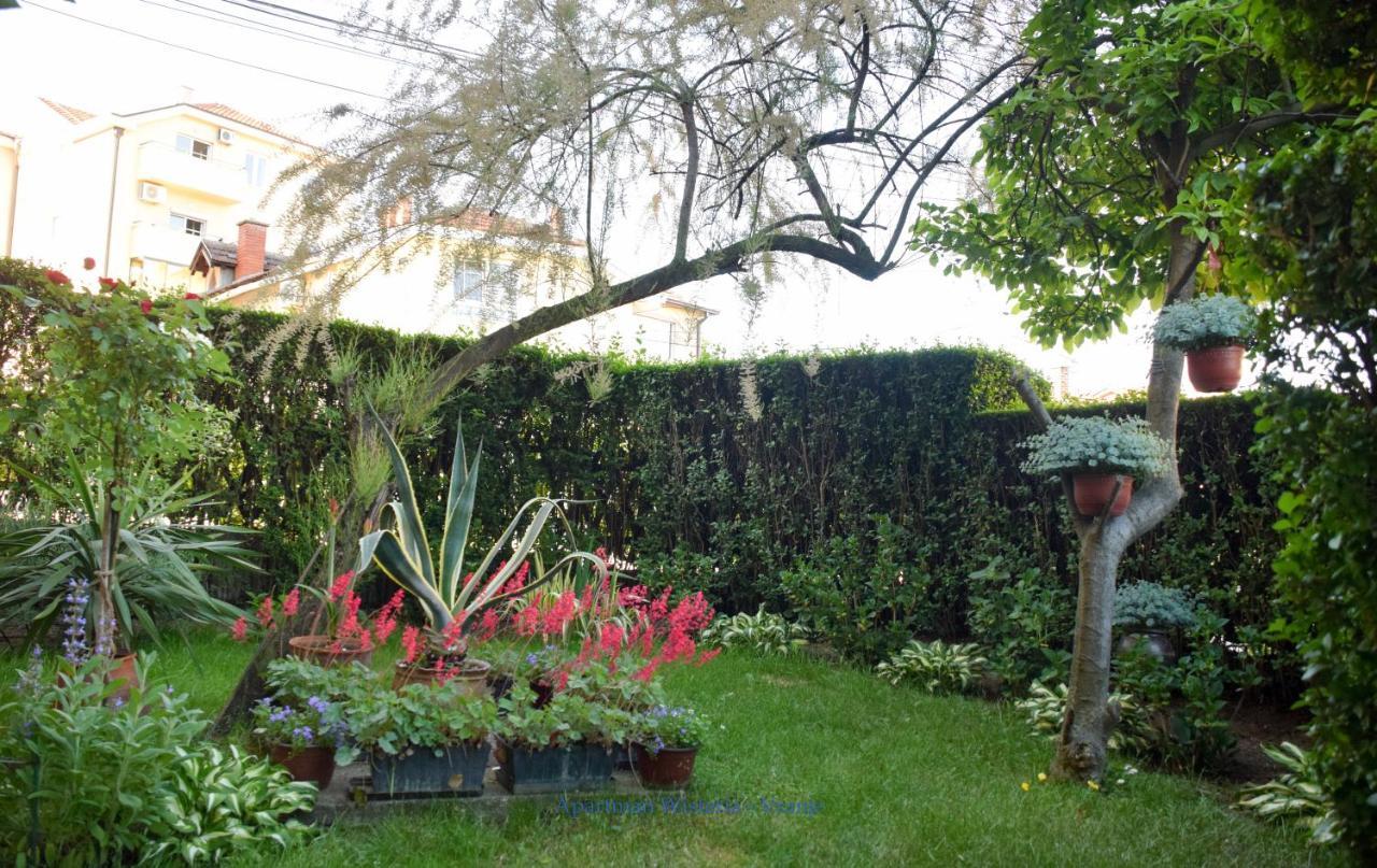 Apartman Wisteria Vranje Bagian luar foto