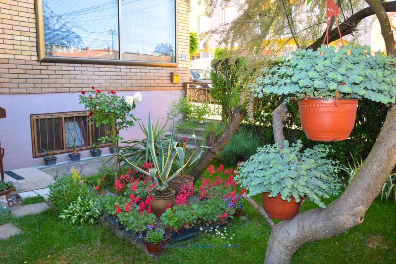 Apartman Wisteria Vranje Bagian luar foto