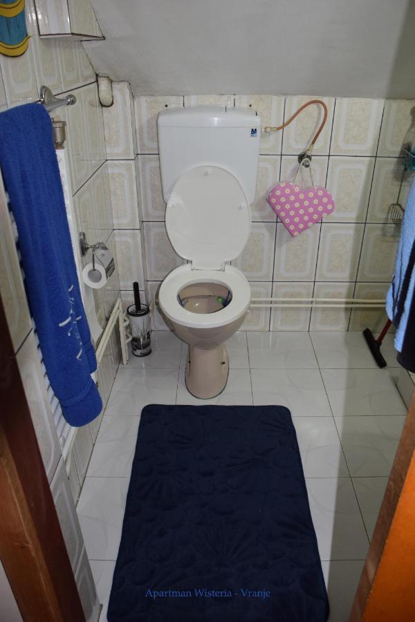 Apartman Wisteria Vranje Bagian luar foto